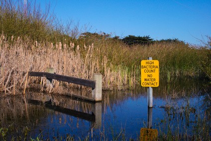 Maintain Water Well - Bacteria